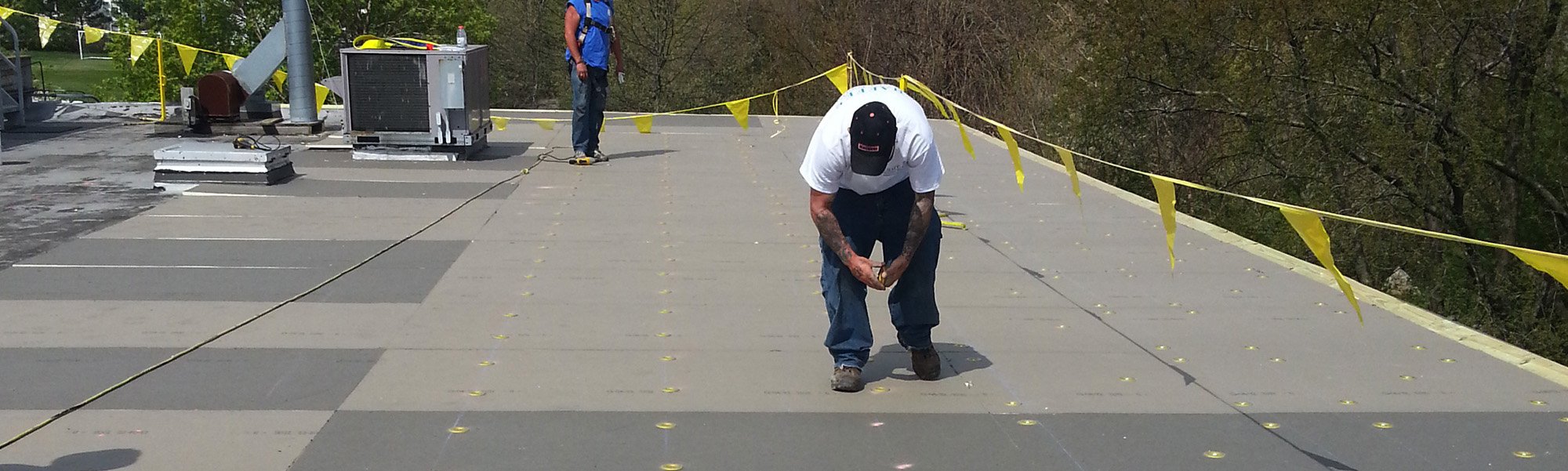 _0002_09 Rhinobond 2.jpg